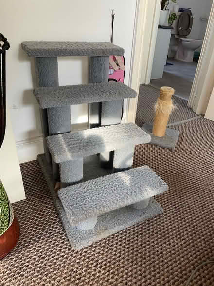 Photo of free Cat steps and scratching post (Boscombe) #2