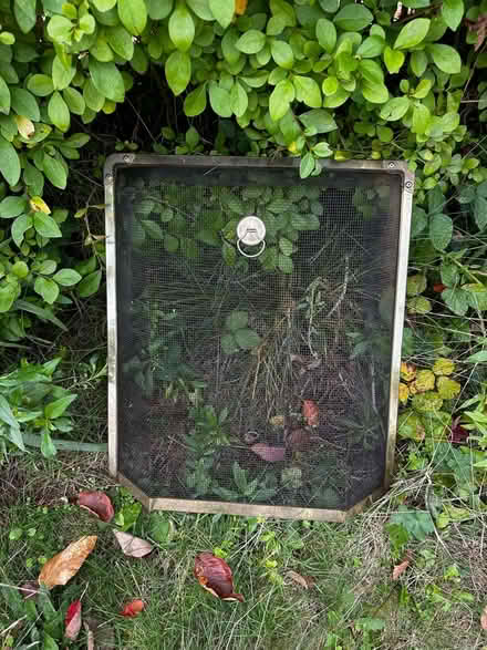 Photo of free Fire guard (Beckenham/bromley) #1