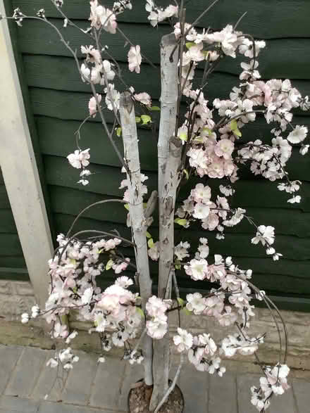 Photo of free Artificial Blossom Tree (Wistaston CW2) #2