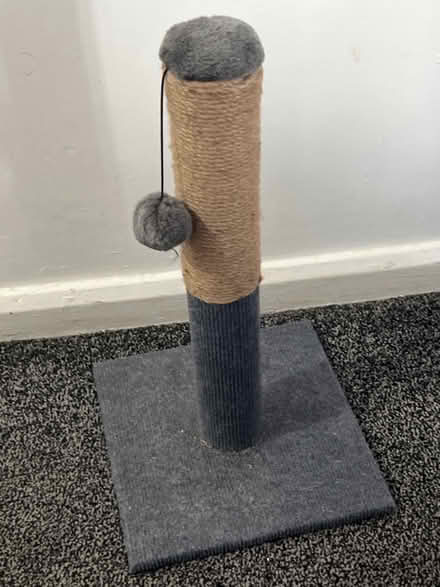 Photo of free cat scratcher (bradford BD5) #1