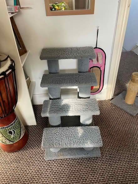 Photo of free Cat steps and scratching post (Boscombe) #1