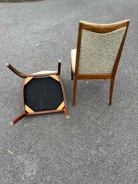 Photo of free Pair of Dining chairs (Horfield Bristol) #4