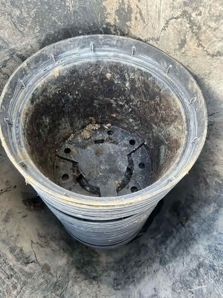Photo of free Plant pots (Tonbridge) #1