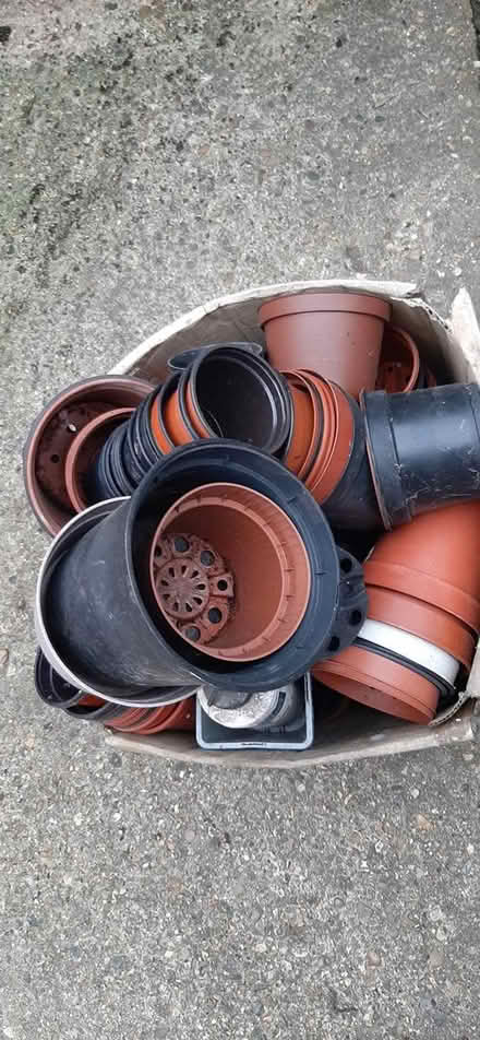 Photo of free Assorted Plastic flowerpots (IP3) #2