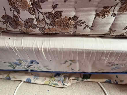 Photo of free single divan bed (Battle RG30) #1