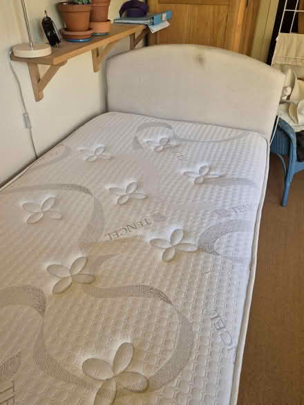 Photo of free Single 3' divan bed (Stroud top of town) #2