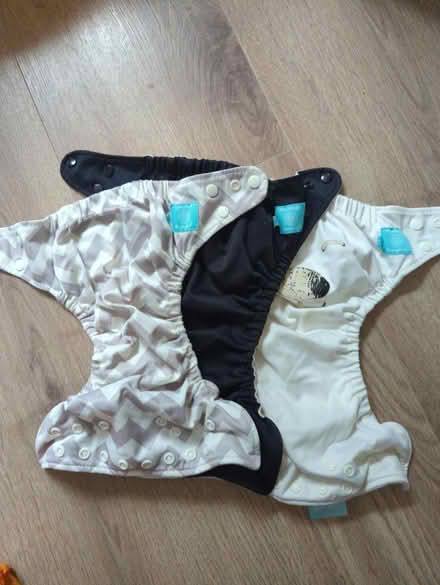 Photo of free 3 Charlie Banana cloth nappies (SE2) #1