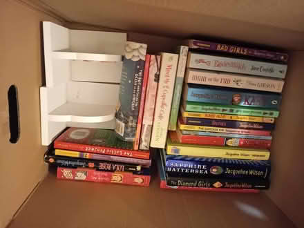 Photo of free Pre tern books and bookends (MK41) #1