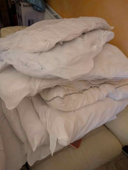 Photo of free Pillows (Gants Hill) #1