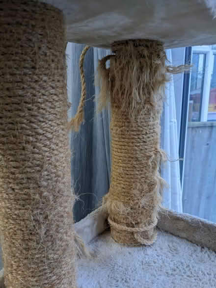 Photo of free Tall cat tree (Southdown) #4