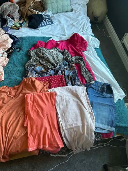 Photo of free Maternity clothes bundle (Skellingthorpe) #1