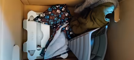 Photo of free Dog items (NW6 6AH) #1