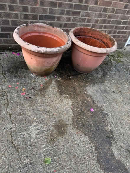 Photo of free Garden Pots (Fenlake MK42) #1