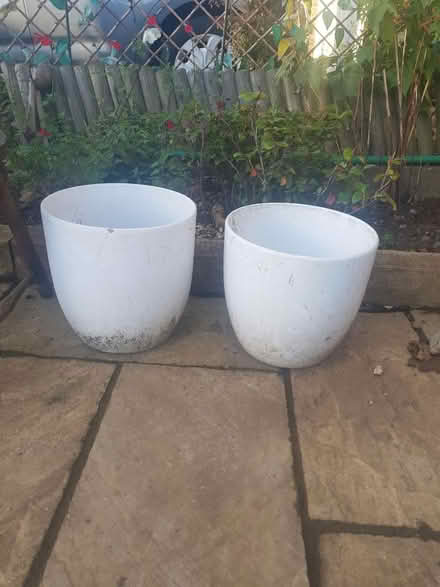 Photo of free 2 plant pots (Stevenage SG2) #1
