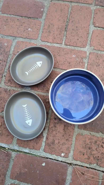 Photo of free Pet food bowls (Terra Linda) #1