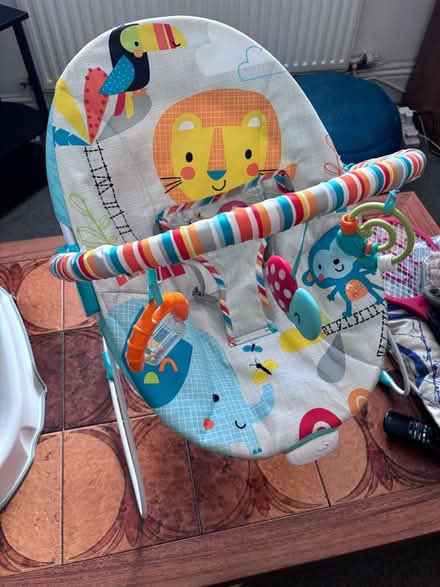 Photo of free Baby bouncy chair (Tredworth GL1) #1