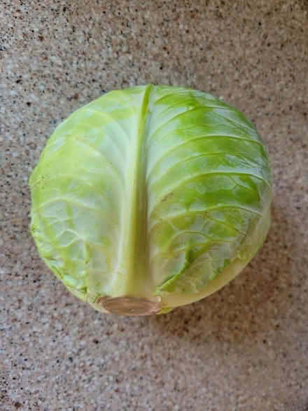Photo of free 1 Head of Cabbage (West 7th) #1