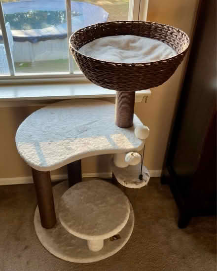 Photo of free Cat Tower (Jackson, NJ) #2