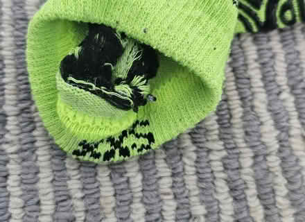 Photo of free Flip out trampoline socks xxs (Hounslow TW3) #3