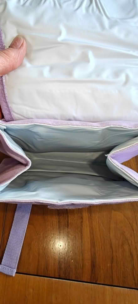 Photo of free Dora the Explorer lunch bag (Stockton Heath, WA4) #3