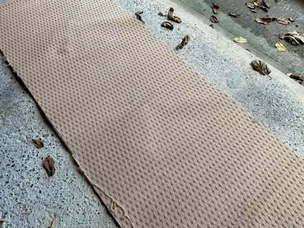 Photo of free Piece of carpet maybe for weed suppression (East Carleton NR14) #1