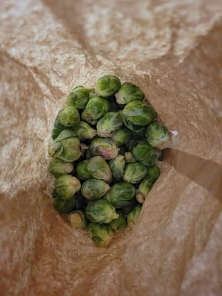 Photo of free Brussel Sprouts (West 7th) #1