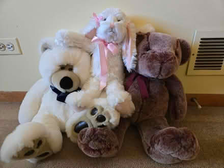 Photo of free Stuffed animals (Bartlett, east of the library) #1