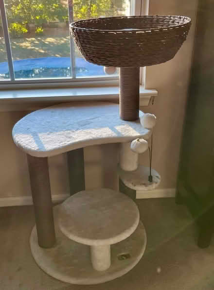 Photo of free Cat Tower (Jackson, NJ) #1