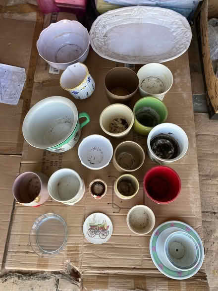 Photo of free Plant Pots & Plates (BH8) #3