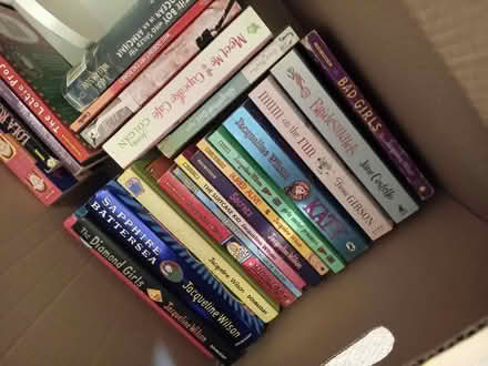 Photo of free Pre tern books and bookends (MK41) #2
