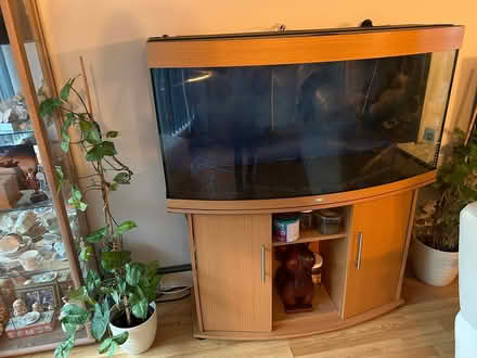 Photo of free Tropical Fish Tank and Cupboard (Rowner PO13) #2