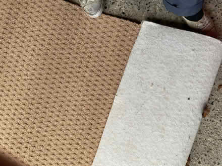 Photo of free Piece of carpet maybe for weed suppression (East Carleton NR14) #2