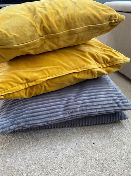 Photo of free 4 cushions (Peckham SE15) #2