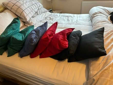 Photo of free Assorted Scatter Cushions (Chapelford WA5) #1
