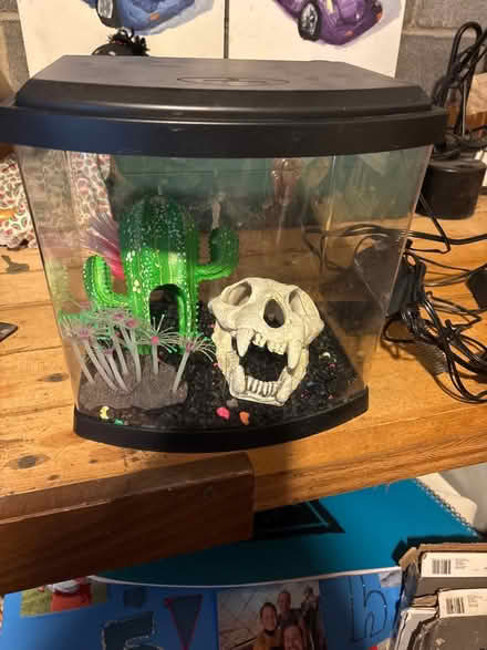 Photo of free Fish tank with accessories (Tuxedo, NY) #1