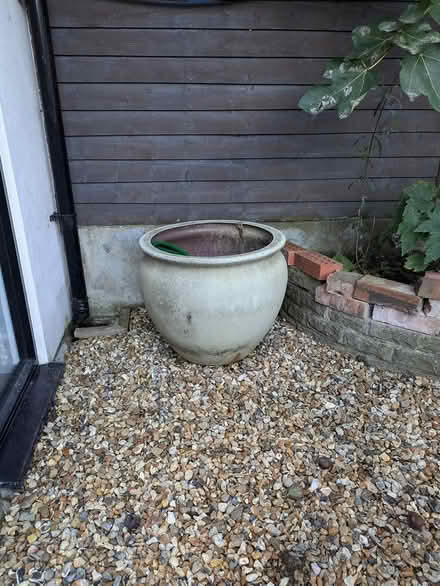 Photo of free TWO large plant pots (Wood Green N22) #2