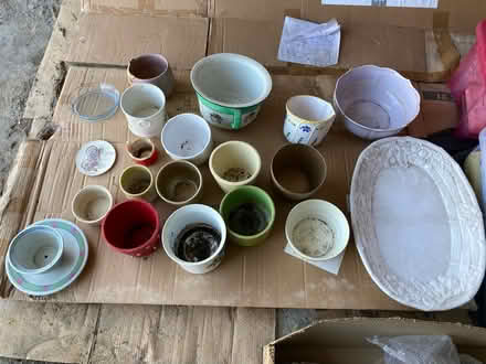 Photo of free Plant Pots & Plates (BH8) #2