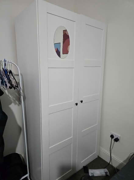 Photo of free White walldrope (Whitefield) #1