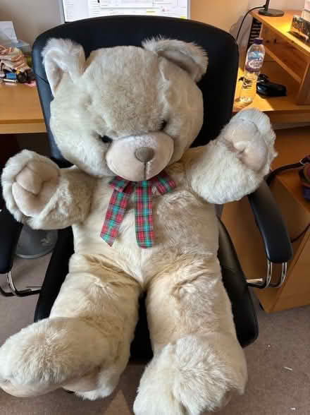 Photo of free Large Teddy Bear (Chapelford WA5) #1