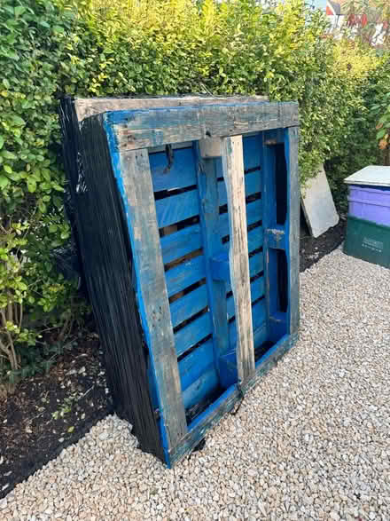 Photo of free 2 Large pallets (Wimbledon SW19) #1