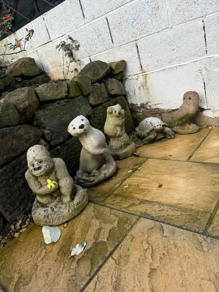 Photo of free Selection of concrete garden animals (Hulland Ward DE6) #1