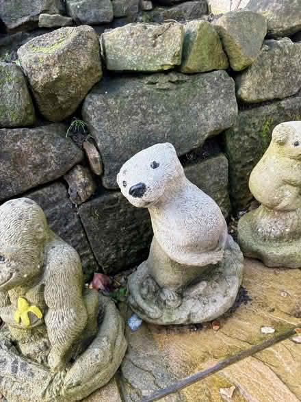 Photo of free Selection of concrete garden animals (Hulland Ward DE6) #3