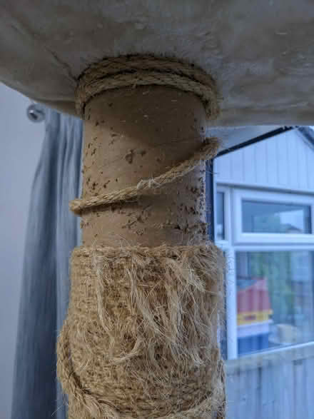Photo of free Tall cat tree (Southdown) #2