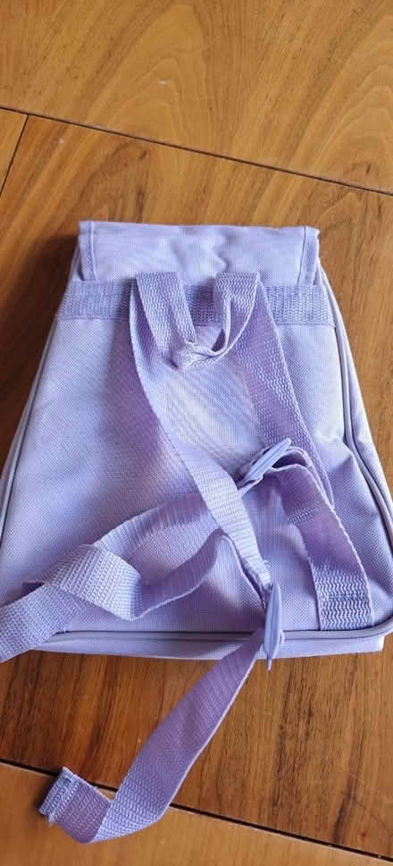 Photo of free Dora the Explorer lunch bag (Stockton Heath, WA4) #2