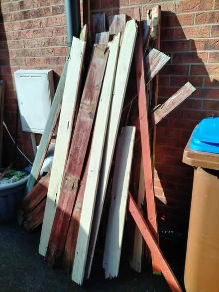 Photo of free Lots of wood 🪵 (Longeaton) #1