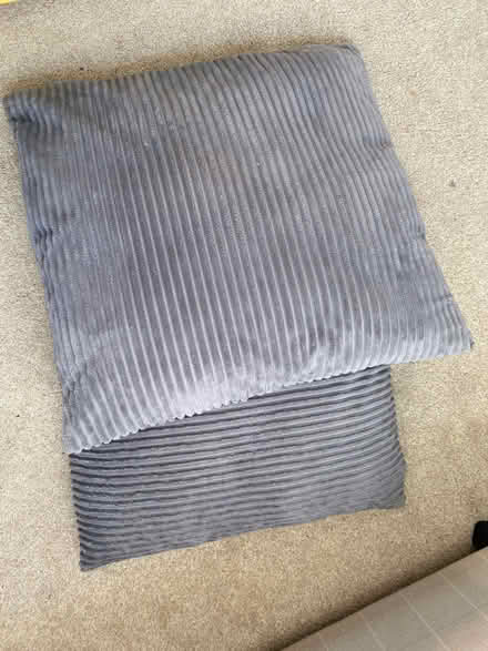 Photo of free 4 cushions (Peckham SE15) #1