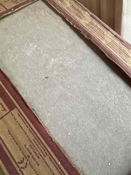 Photo of free Tiles (Knebworth SG3) #2