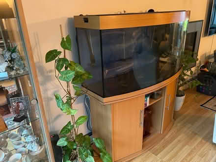 Photo of free Tropical Fish Tank and Cupboard (Rowner PO13) #1