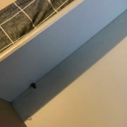 Photo of free IKEA Hemnes Chest of Draws (BH6 3AT) #4