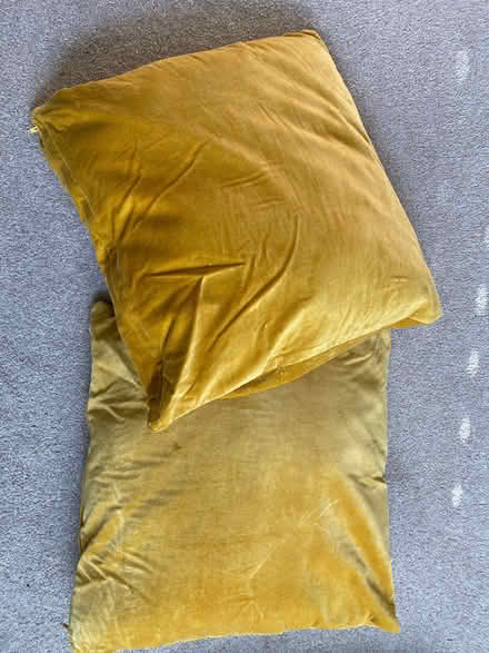 Photo of free 4 cushions (Peckham SE15) #3